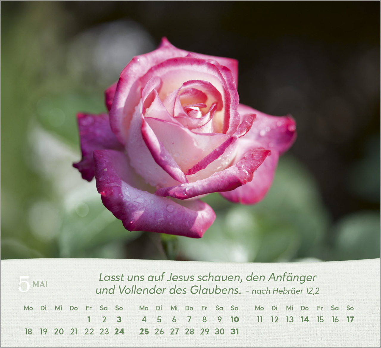 Rosen Tischkalender 2026