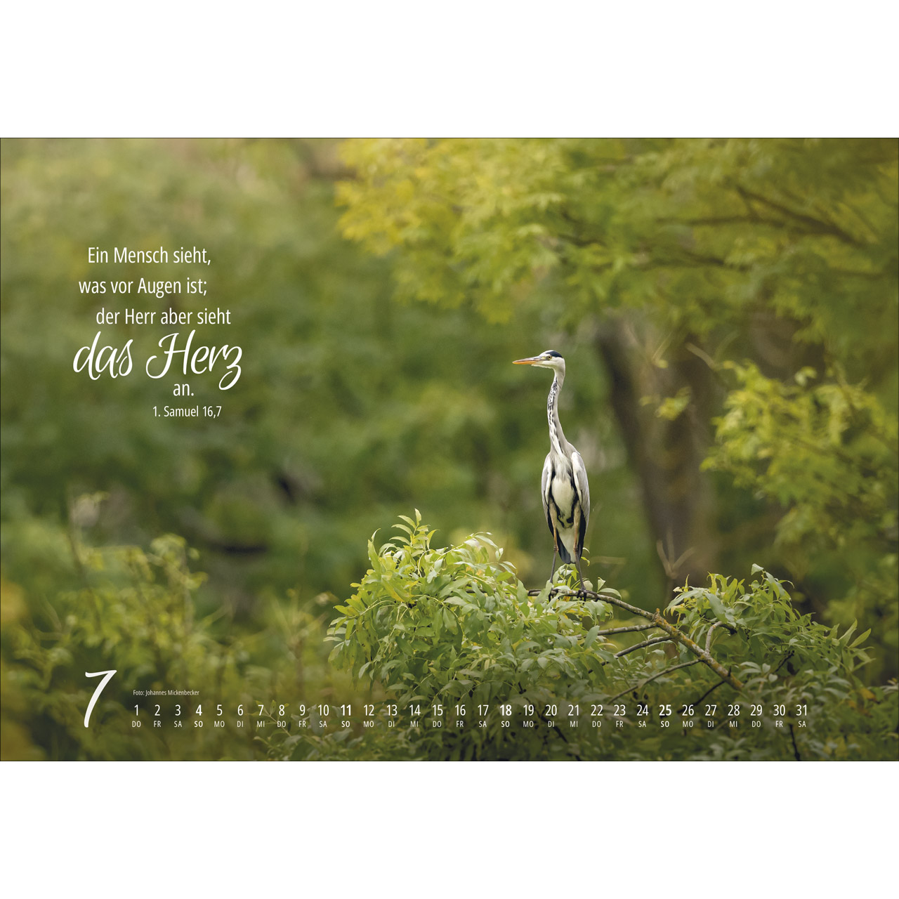 Real Wildlife 2027 -  (49 x 34 x 0,1 cm)