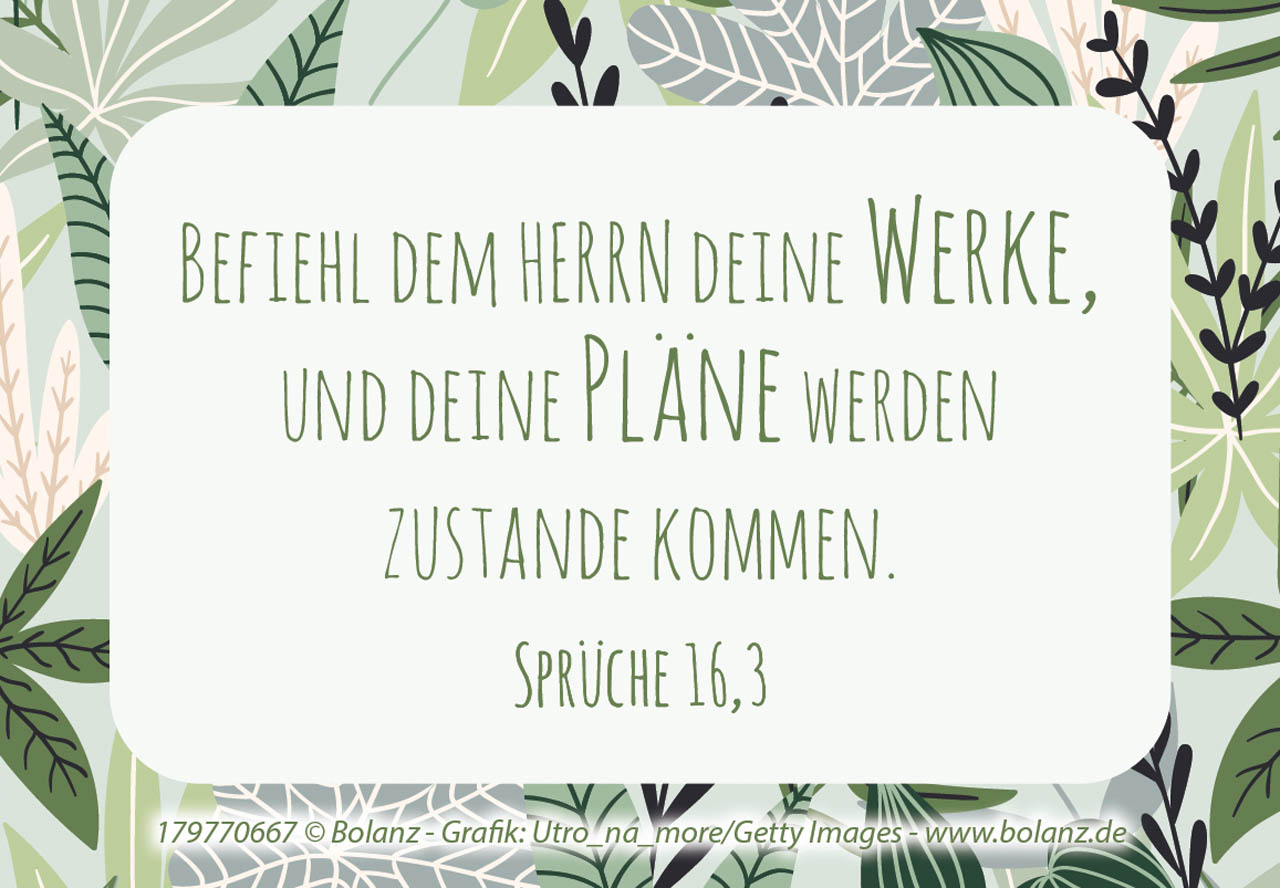 Neujahrslose Pure Lebensfreude Neujahrslose Pure Lebensfreude