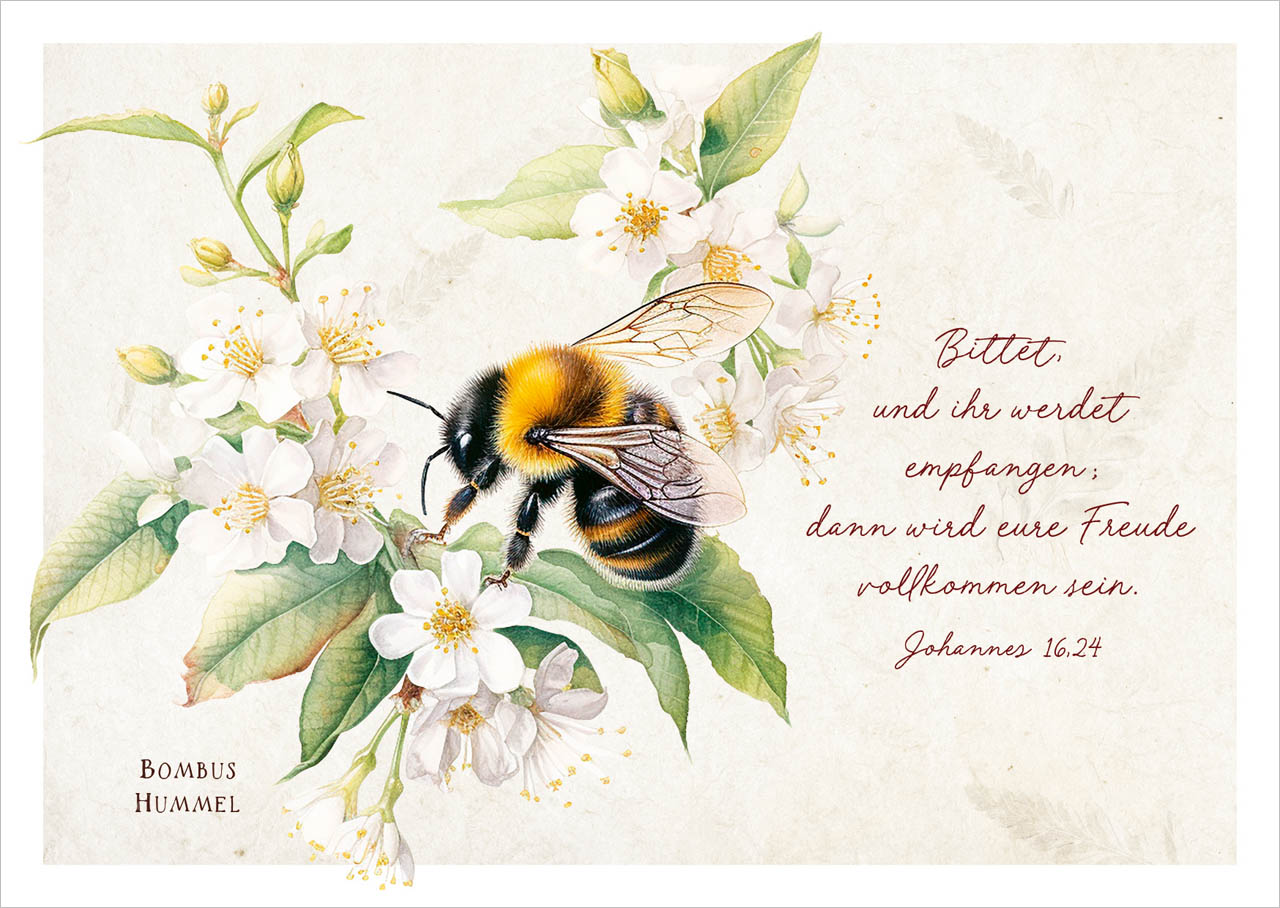 Postkarte Hummel an Blüten -  (14,8 x 10,5 cm)