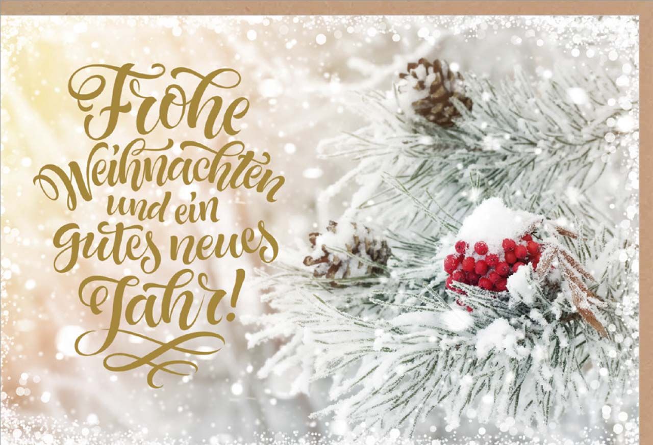 Faltkarte Schneebedeckter Zweig mit Beeren -  Anlass: Weihnachten (17 x 11,5 cm)
