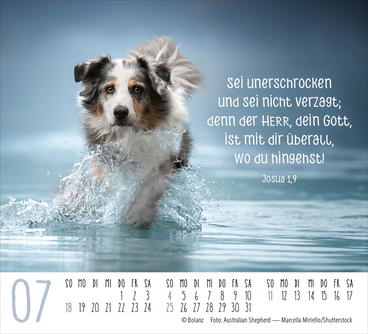 Hunde – treue Wegbegleiter 2027 – Minikalender