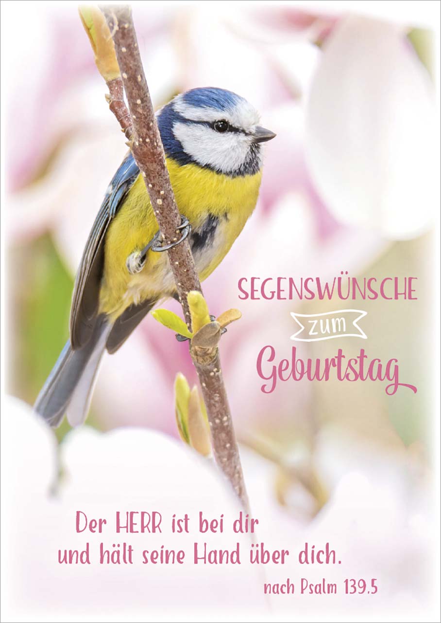 Faltkarte Meise - Geburtstag -  Anlass: Geburtstag (11,5 x 17 cm)