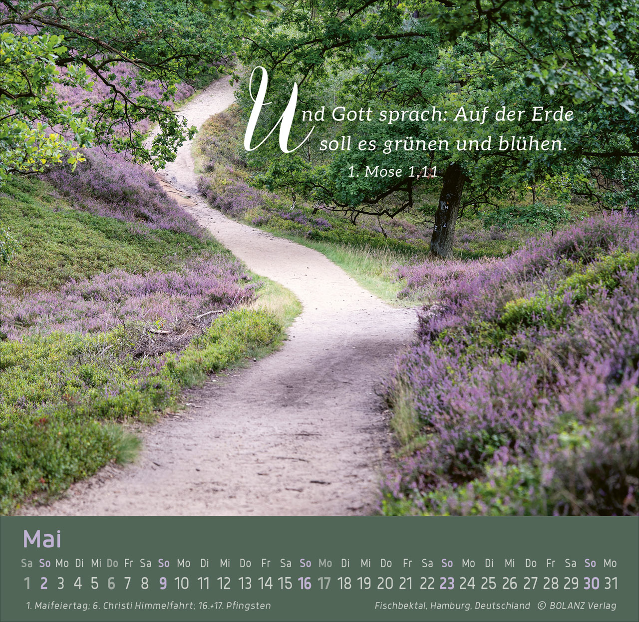 Weg – Licht – Leben 2027 – Tischkalender