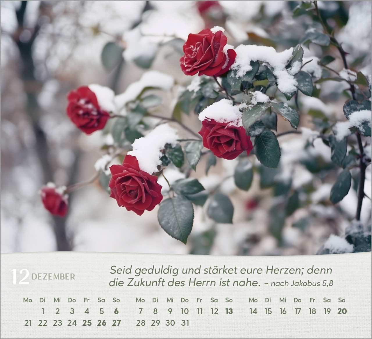 Rosen Tischkalender 2026