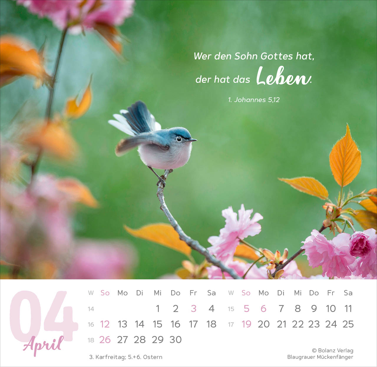 Meine Zeit 2026 - Tischkalender