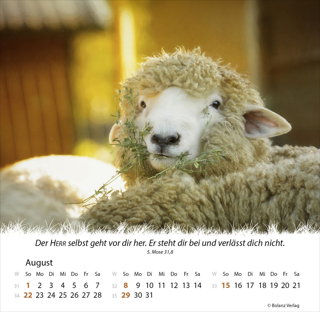 Ein Leben für die Schafe 2027 – Tischkalender