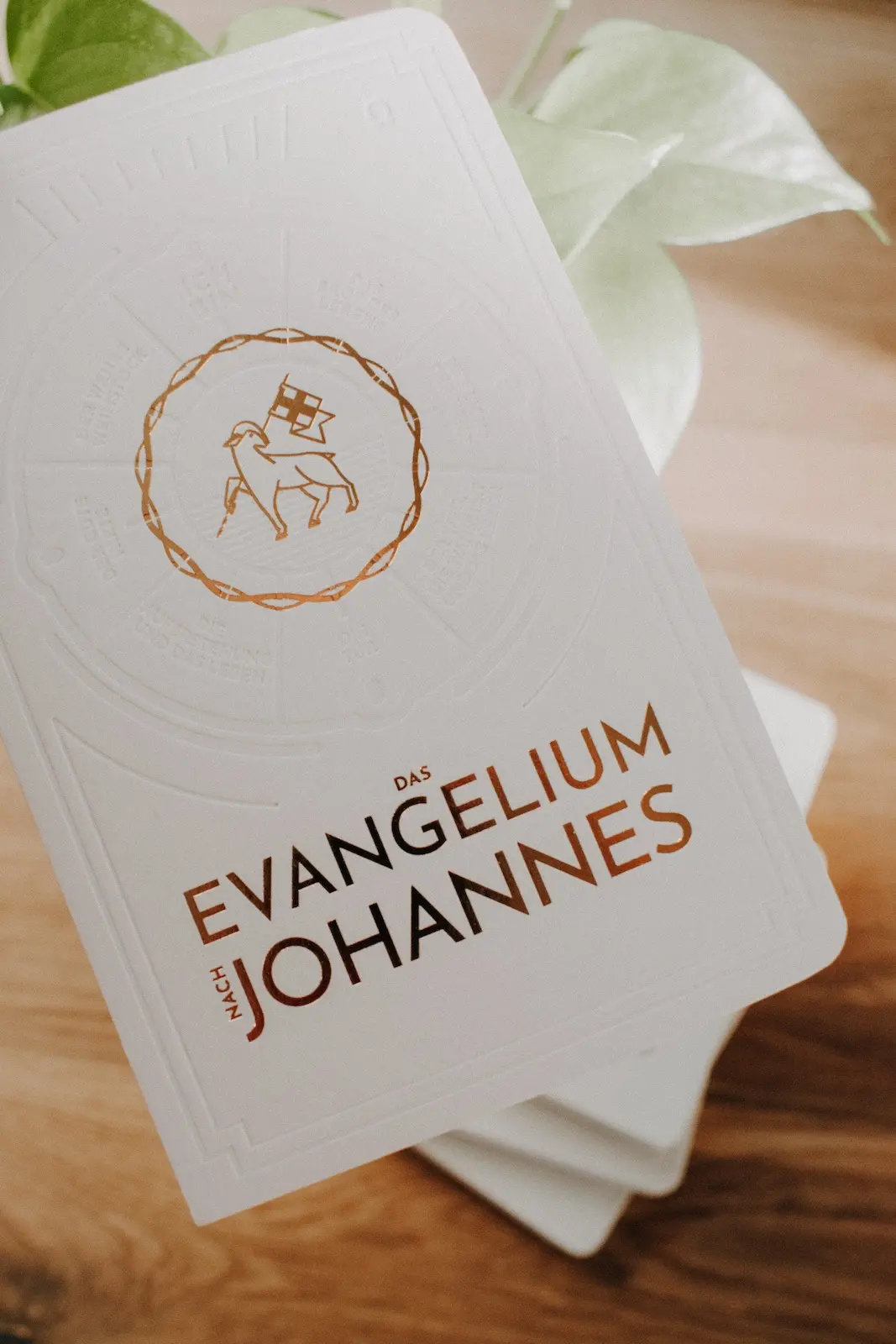 Das Evangelium nach Johannes | Bücher der Bibel