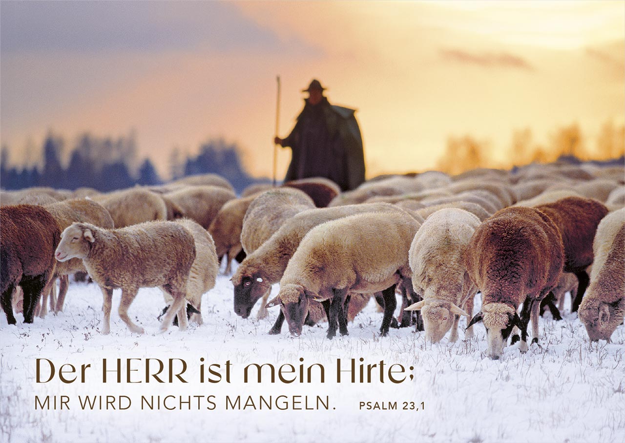 Postkartenbox Psalm 23 - Der HERR ist mein Hirte -  (15 x 11 cm)