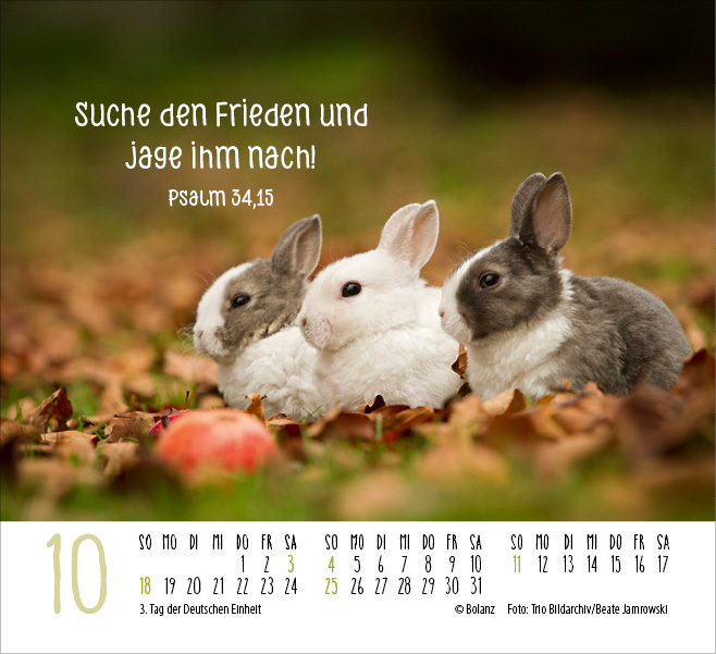 Begegnungen - Dich vergess ich nie 2026 - Minikalender