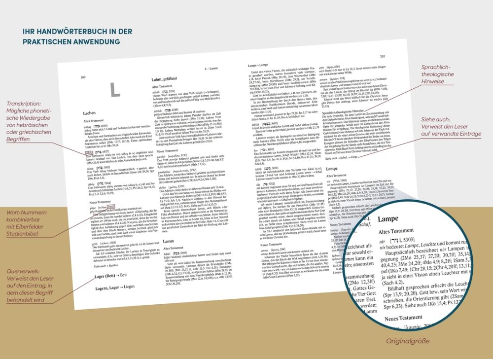 Exegetisches Handwörterbuch zur Bibel -  Autor: Stephen D. Renn (Hrsg.), Michael Dennstedt (Hrsg.) - Hardcover 1. Auflage (16 x 23,5 x 3,2 cm)