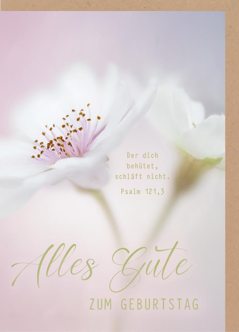 Faltkarte Geburtstag Psalm 121 -  Anlass: Geburtstag (12 x 17 cm)
