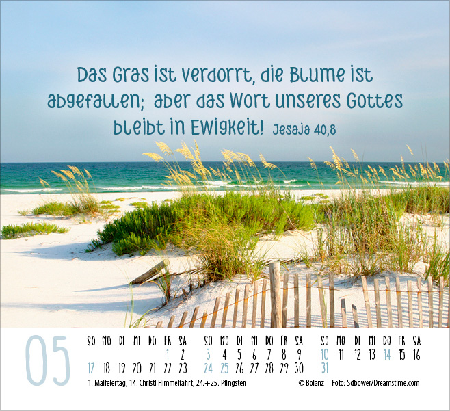 Zeit für Meer - Minikalender 2026