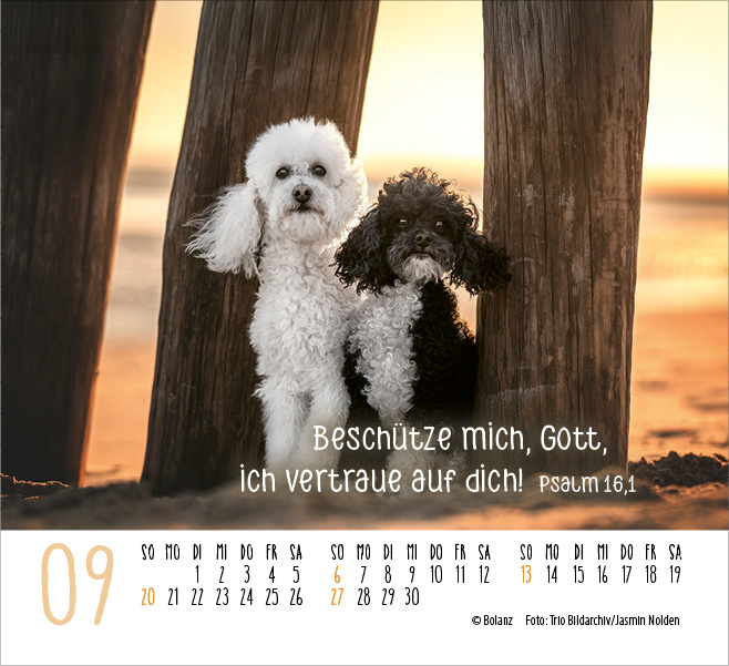 Begegnungen - Dich vergess ich nie 2026 - Minikalender