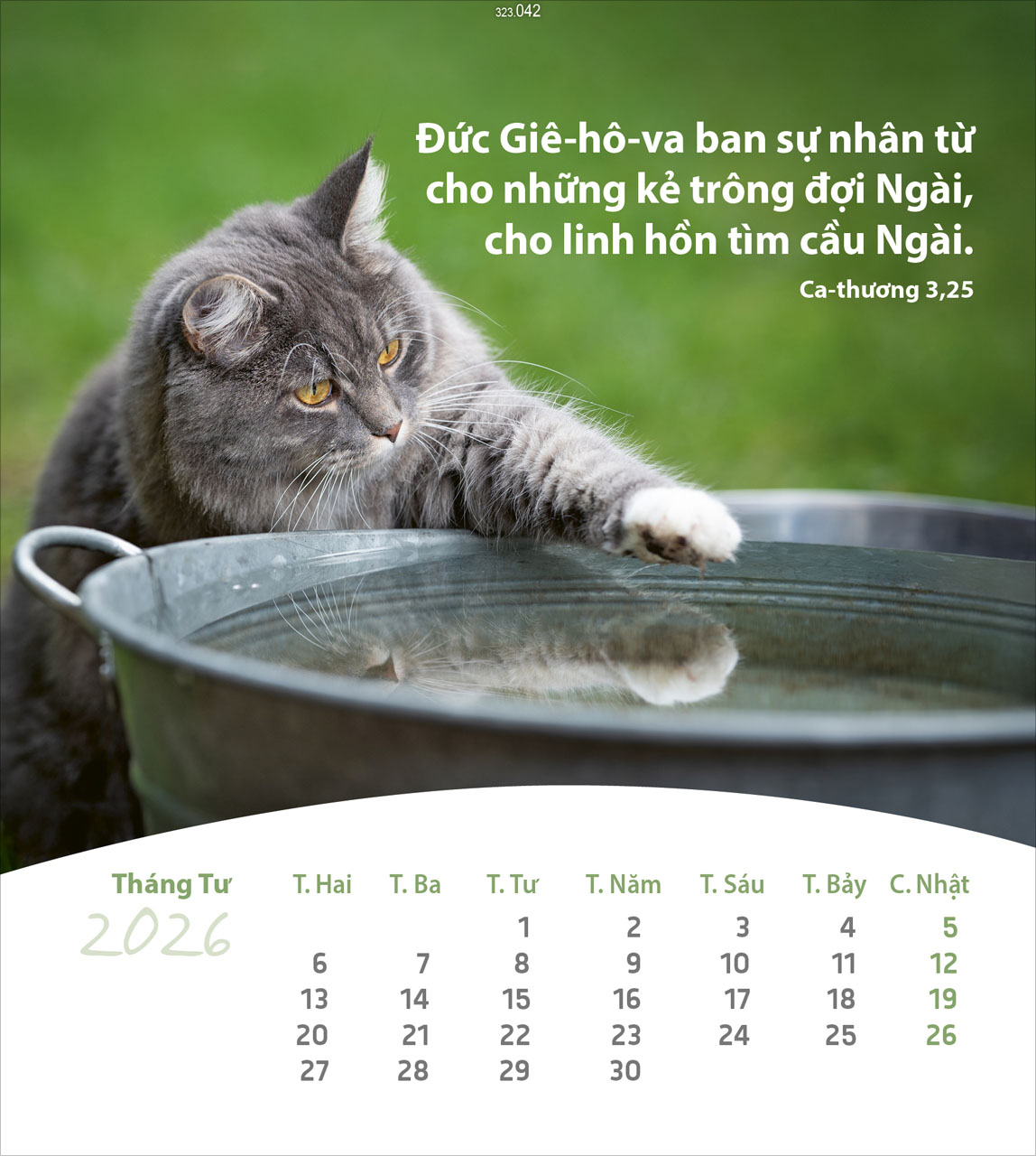 Leben für Dich - Vietnamesisch