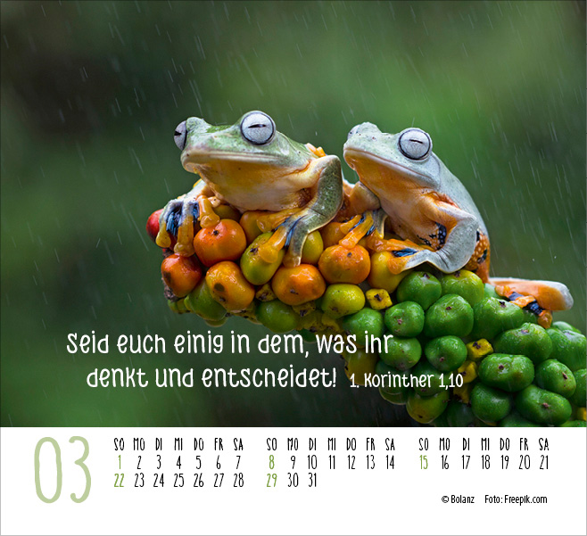 Begegnungen - Dich vergess ich nie 2026 - Minikalender