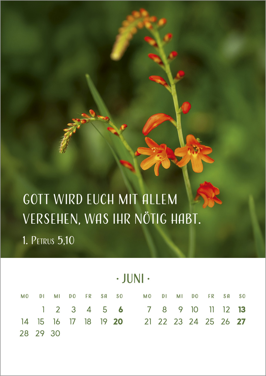 Zarte Blumengrüße 2027 – Tischkalender mit Holzaufsteller