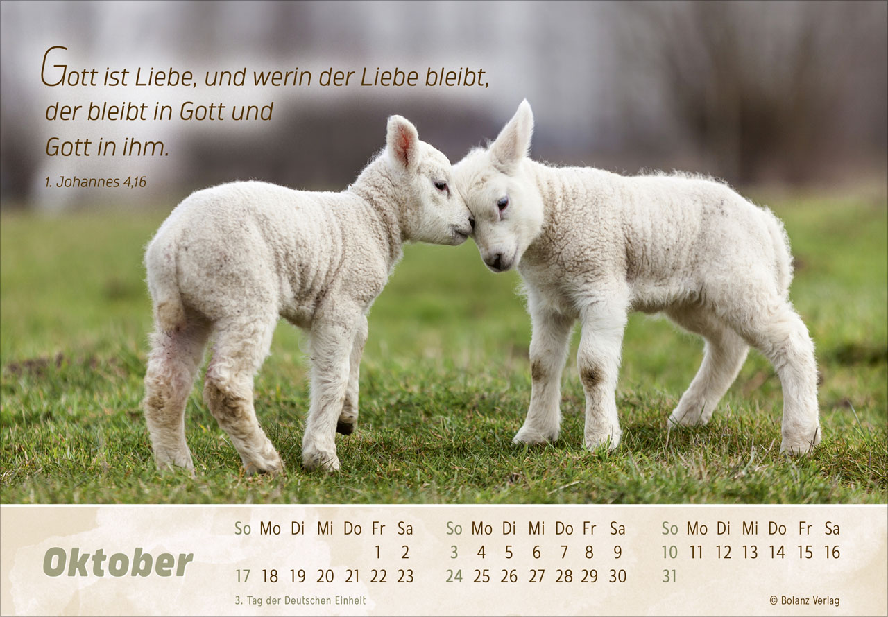 Der Gute Hirte 2027 – Panoramakalender