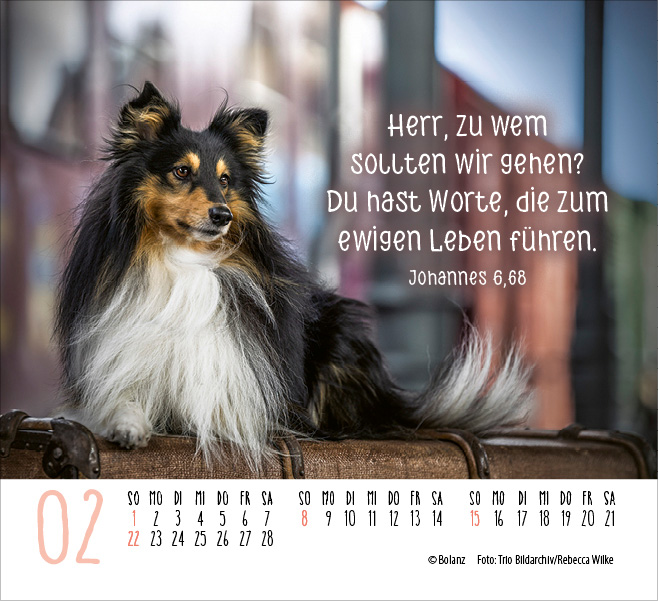 Hunde - treue Wegbegleiter  - Minikalender 2026