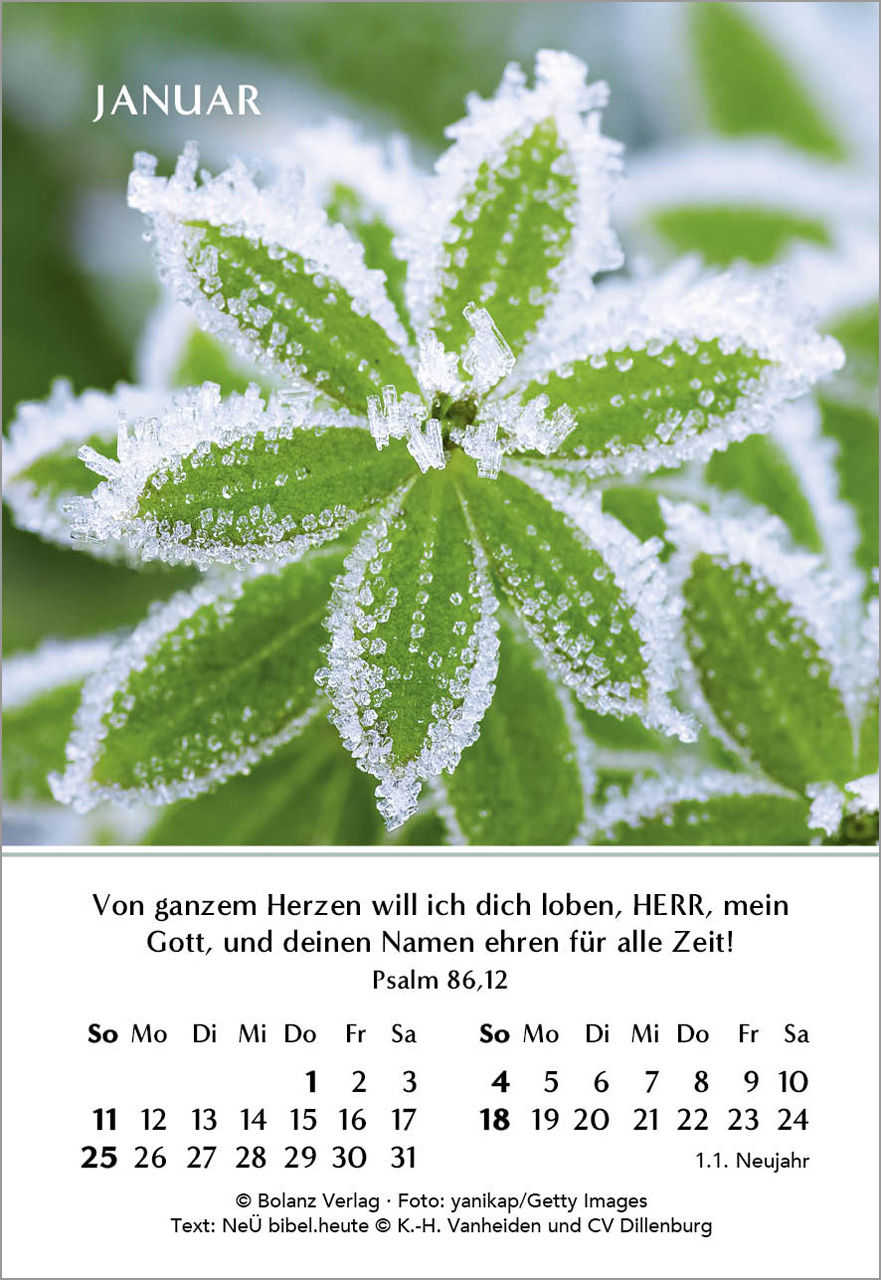 Ein Jahr der Freude Mini-Kalender 2026