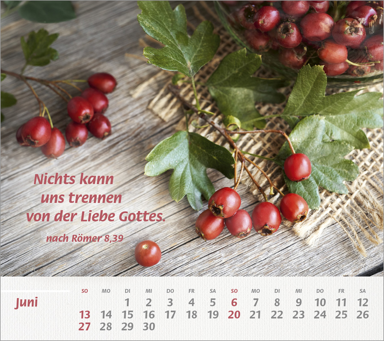 Du bist meine Stärke Großdruck 2027 -Tischkalender