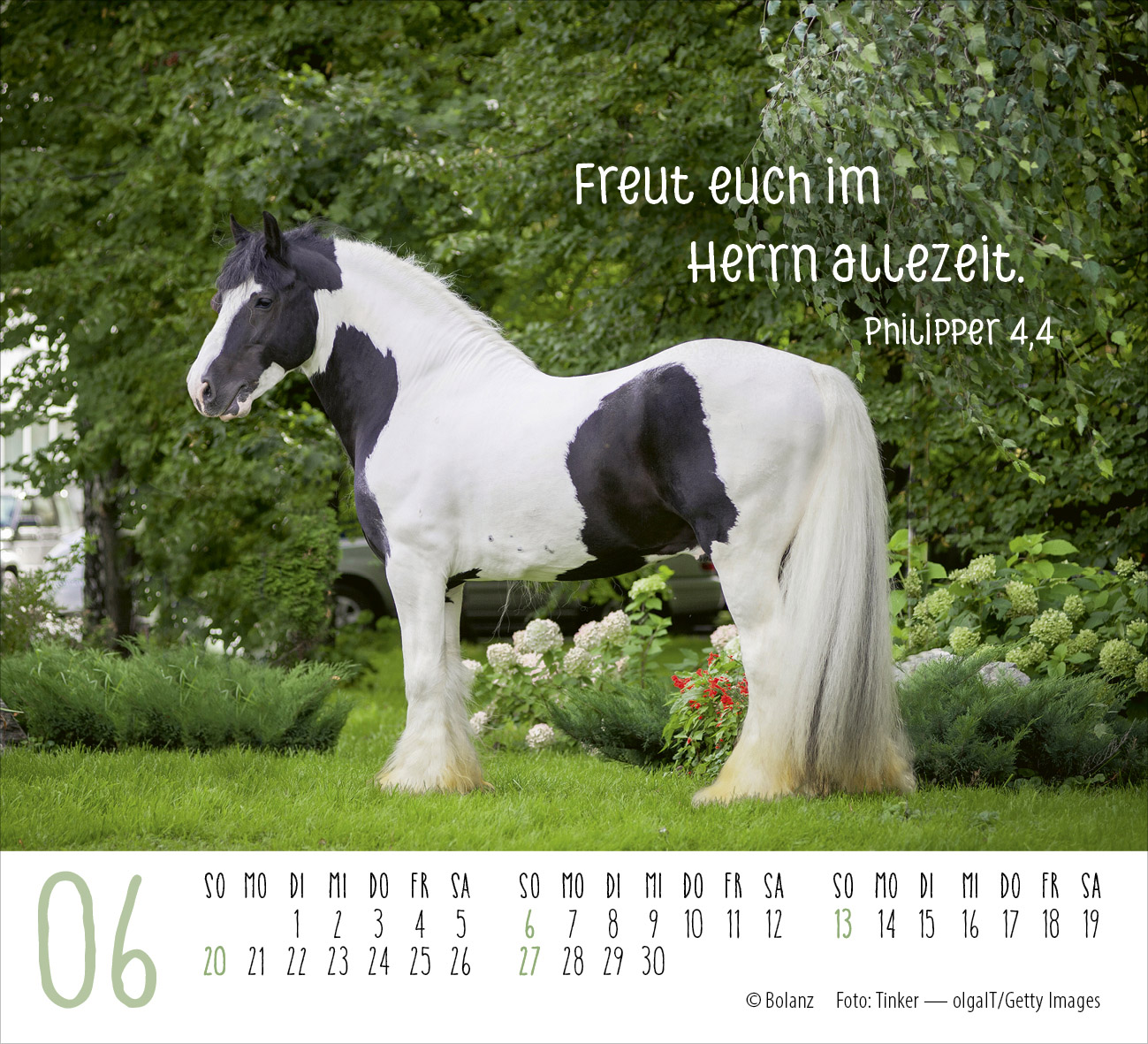 Pferde – elegante Schönheiten 2027 – Minikalender