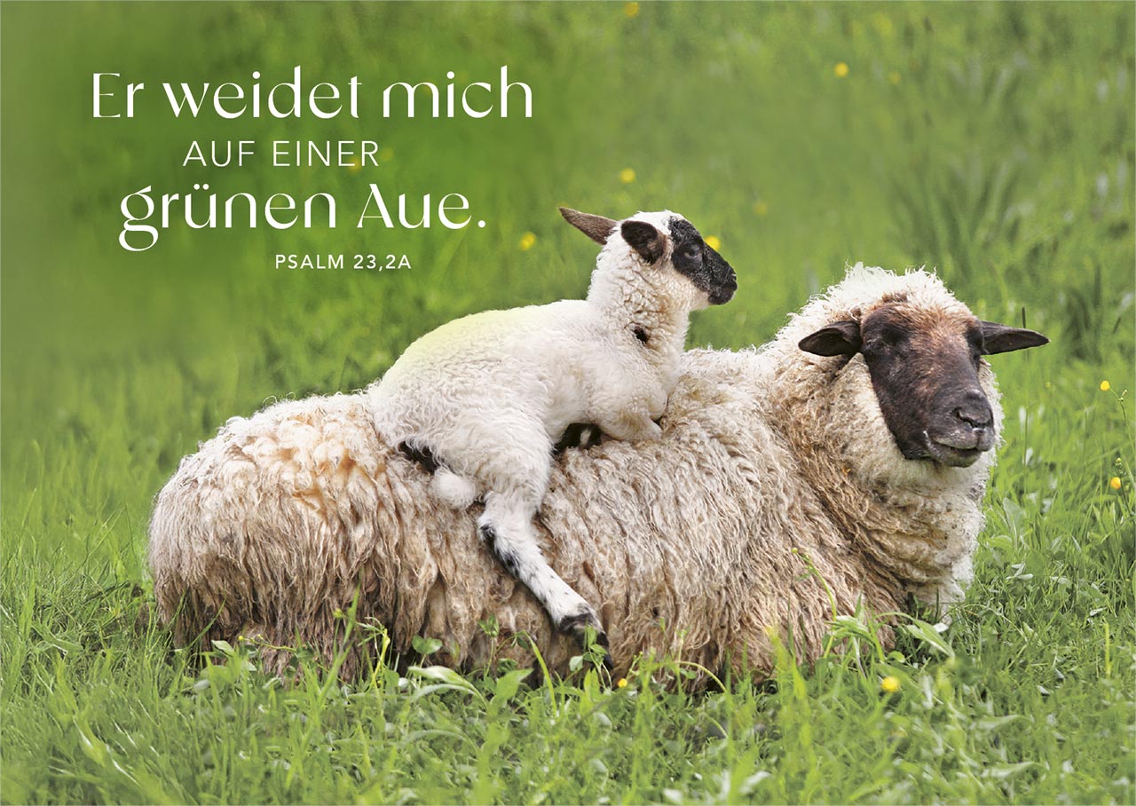 Postkartenbox Psalm 23 - Der HERR ist mein Hirte -  (15 x 11 cm)