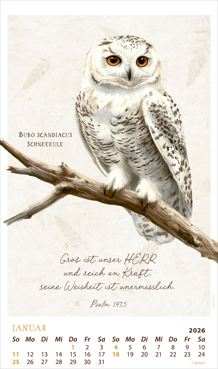 Schmuck Stücke des Schöpfers 2026 - Posterkalender