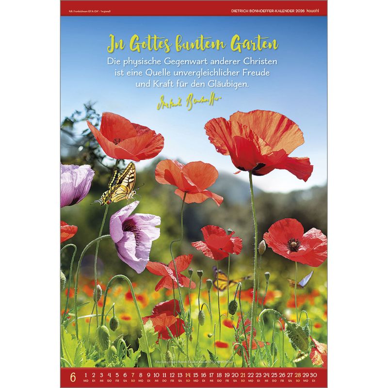 Gott ist für uns 2026 -  Autor: Dietrich Bonhoeffer