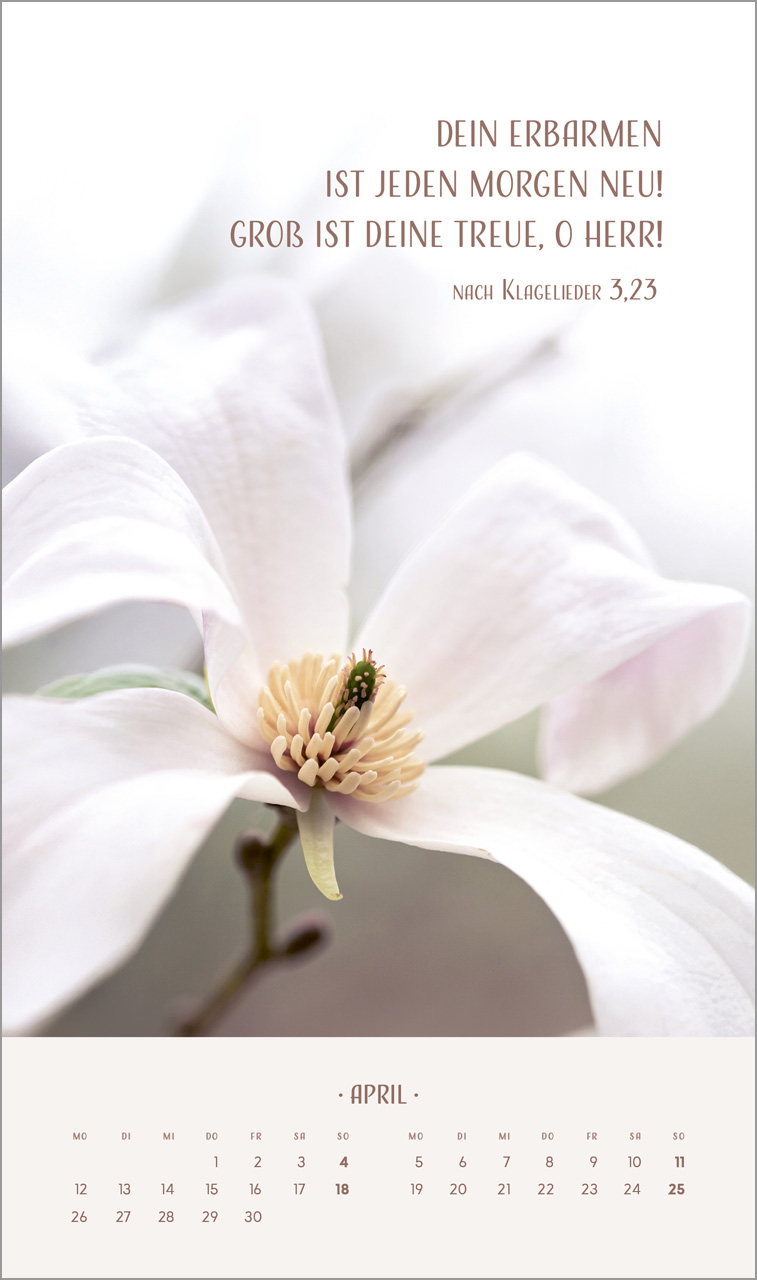 Zarte Blumengrüße 2027 – Posterkalender