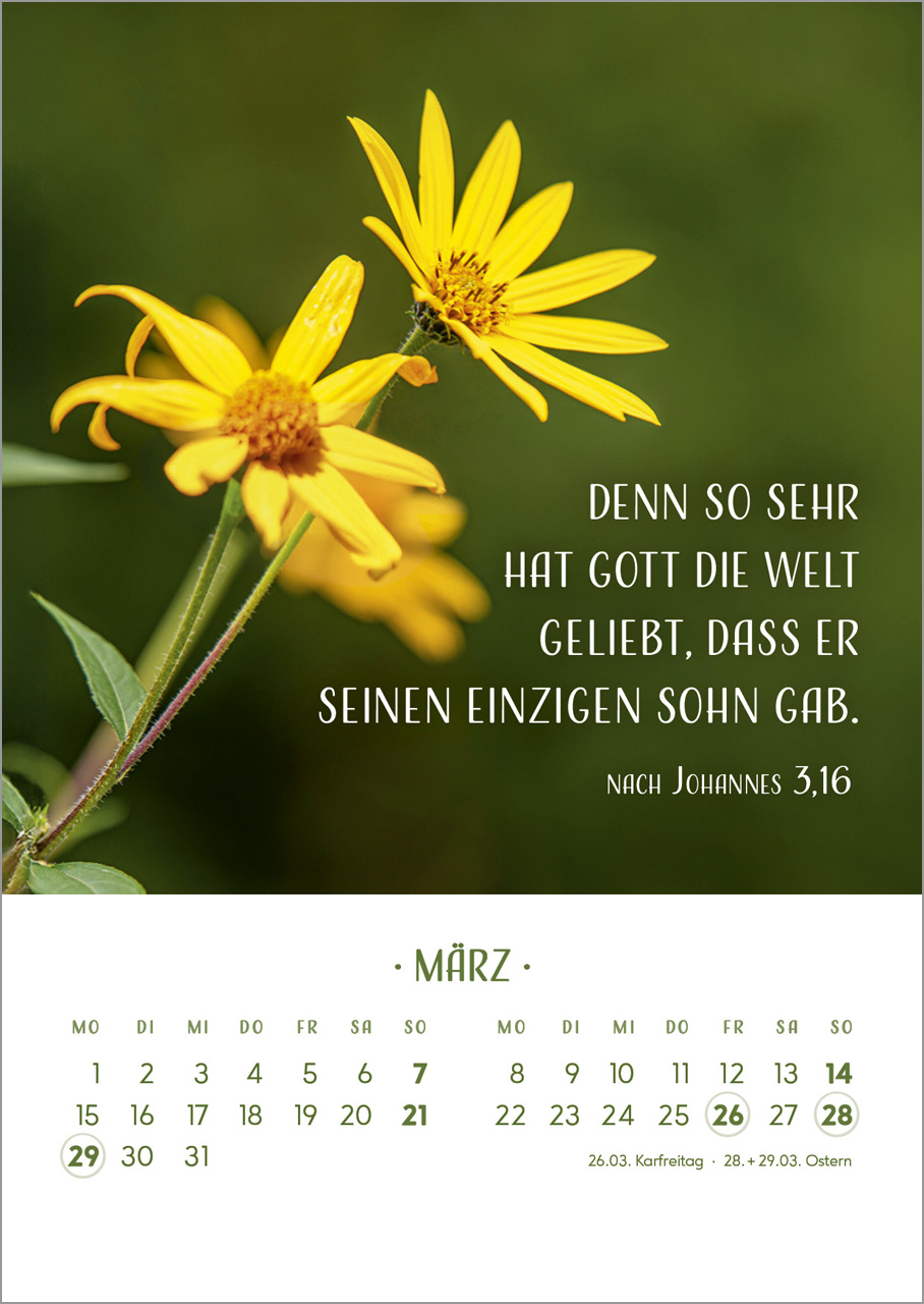 Zarte Blumengrüße 2027 – Tischkalender mit Holzaufsteller