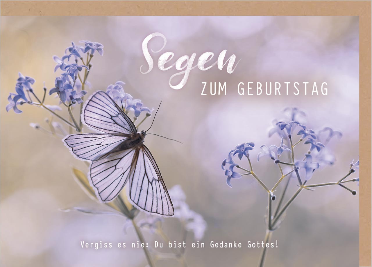 Faltkarte Schmetterling -  Anlass: Geburtstag (17 x 12 cm)