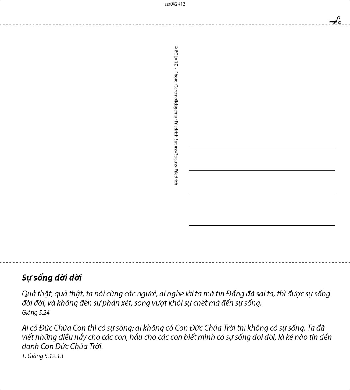 Leben für Dich - Vietnamesisch