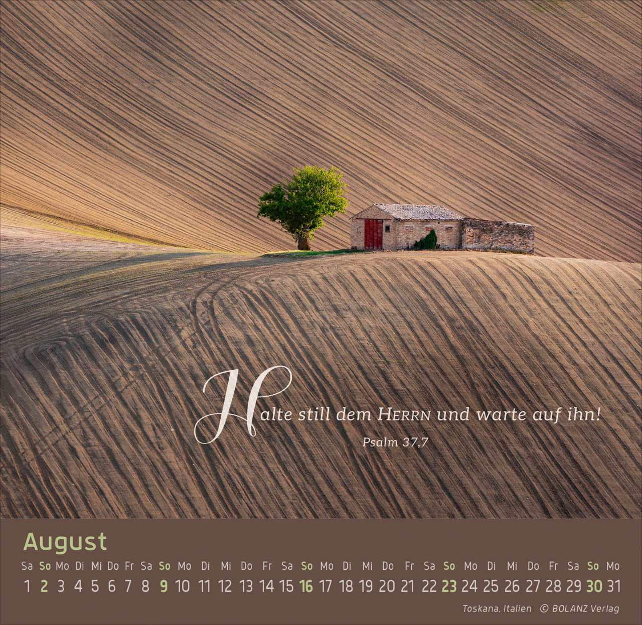 Weg-Licht-Leben 2026 - Tischkalender