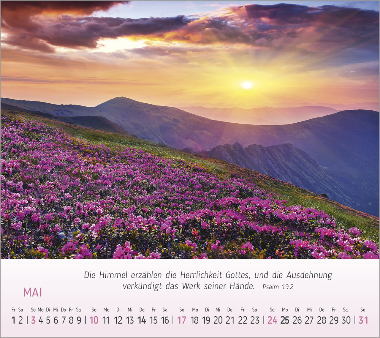 Foto-Träume - Tischkalender 2026