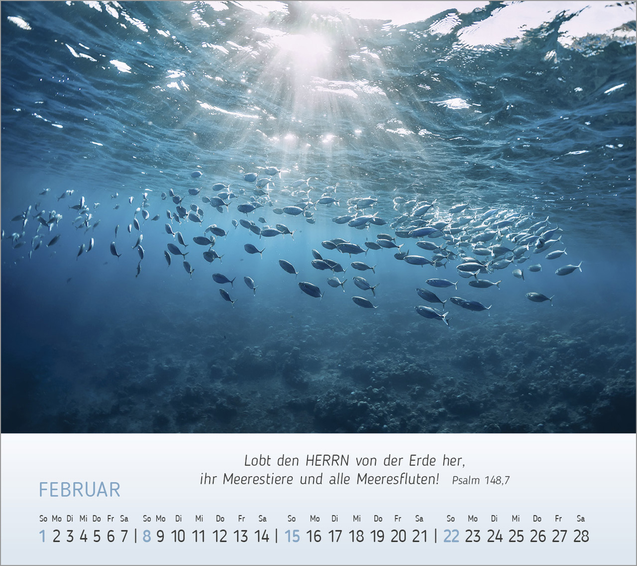 Foto-Träume - Tischkalender 2026