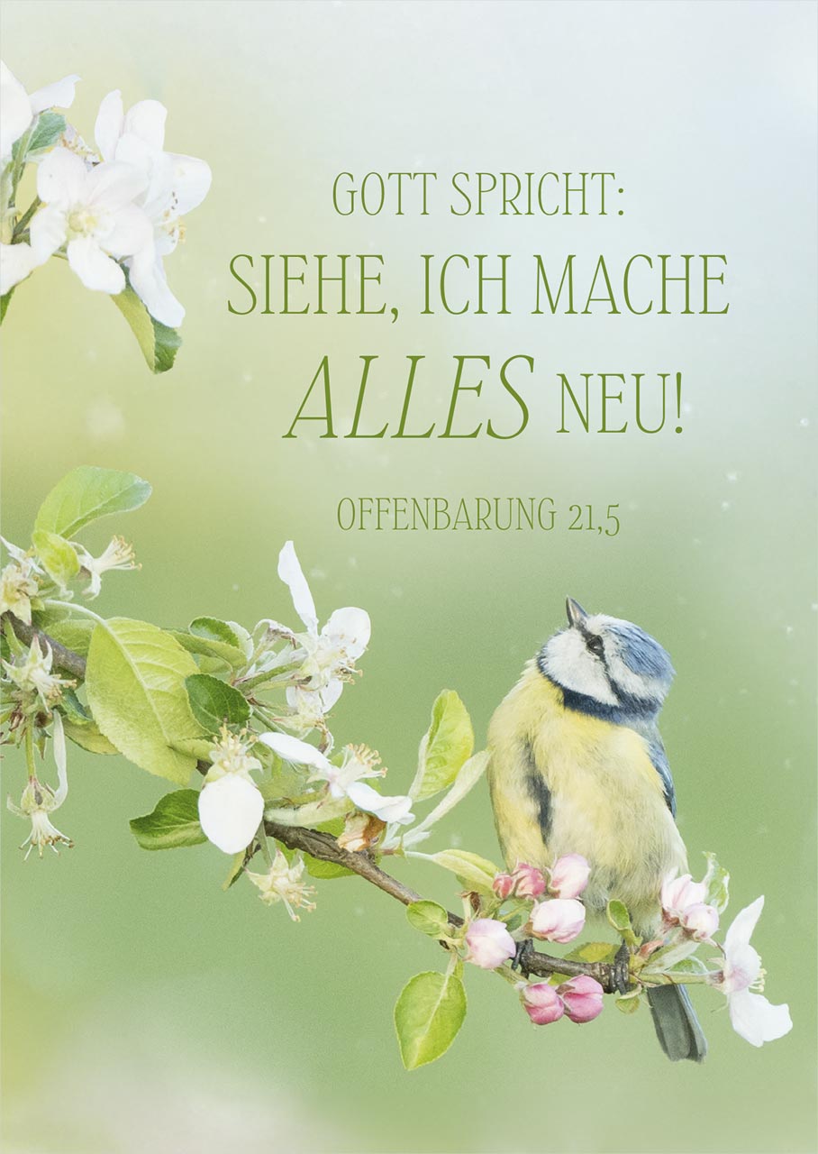 Postkarte Jahreslosung Vogel -  Anlass: Jahreslosung (10,5 x 14,8 cm)