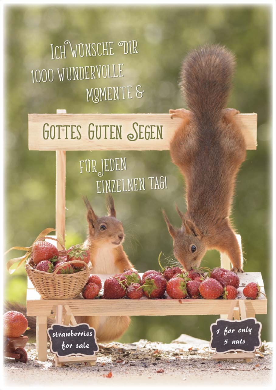 Postkarte Gottes guten Segen - Eichhörnchen -  Anlass: Geburtstag (10,5 x 14,8 cm)