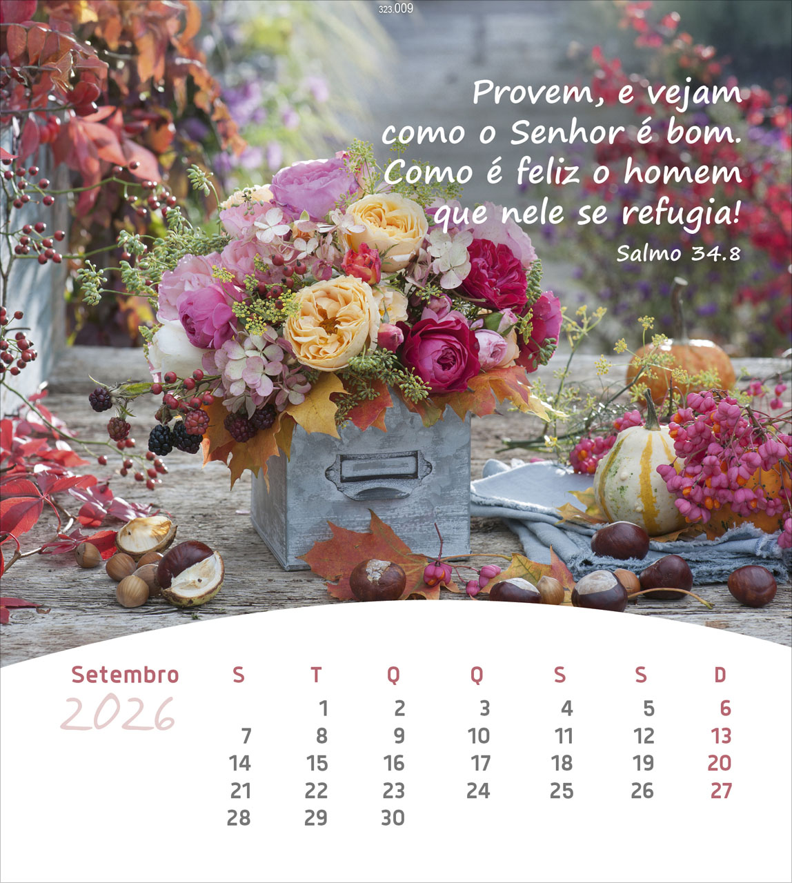 Leben für Dich 2026 - Portugiesisch