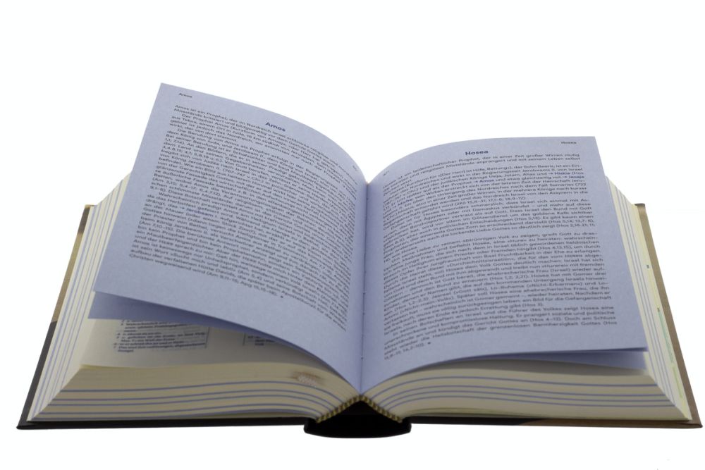 Elberfelder Bibel mit 125 Lebensbildern biblischer Personen -  Anlass: Taufe - Hardcover 1. Auflage (11,5 x 17,2 x 3,7 cm)