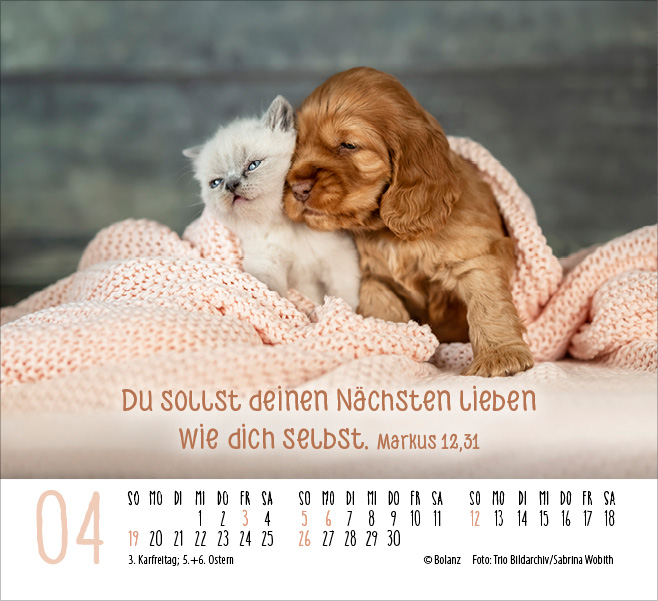 Begegnungen - Dich vergess ich nie 2026 - Minikalender