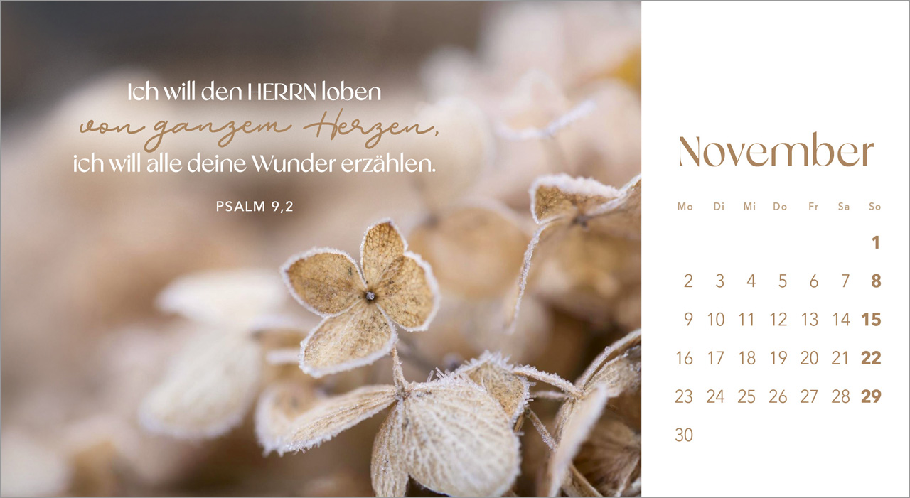 Augenblicke der Anbetung 2026