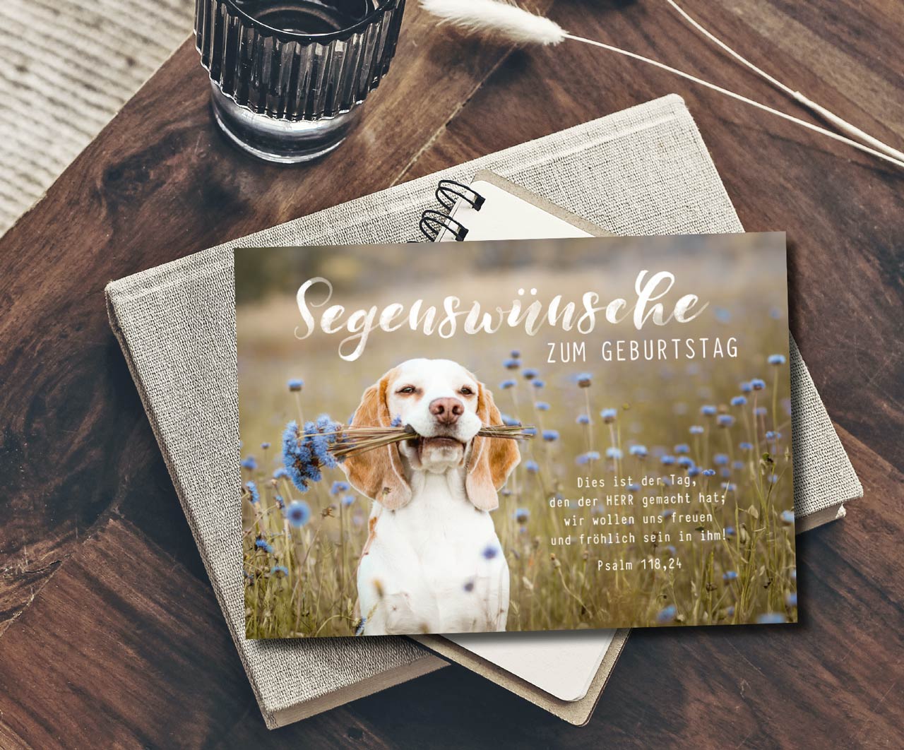 Postkarte süßer Hund zum Geburtstag -  Anlass: Geburtstag (14,8 x 10,5 cm)