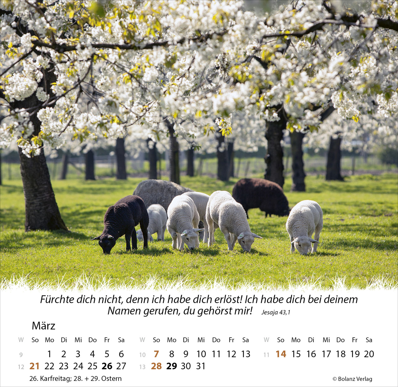 Ein Leben für die Schafe 2027 – Tischkalender