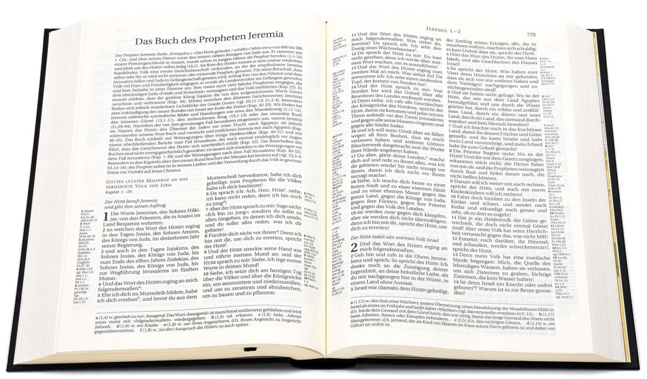 Schlachter 2000 Bibel – Standardausgabe (Duoleinen braun/khaki, fester Einband) -  - Hardcover - Leinen 10. Auflage (17 x 23,6 x 3,1 cm)