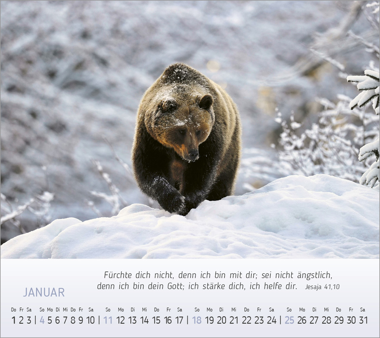 Foto-Träume - Tischkalender 2026