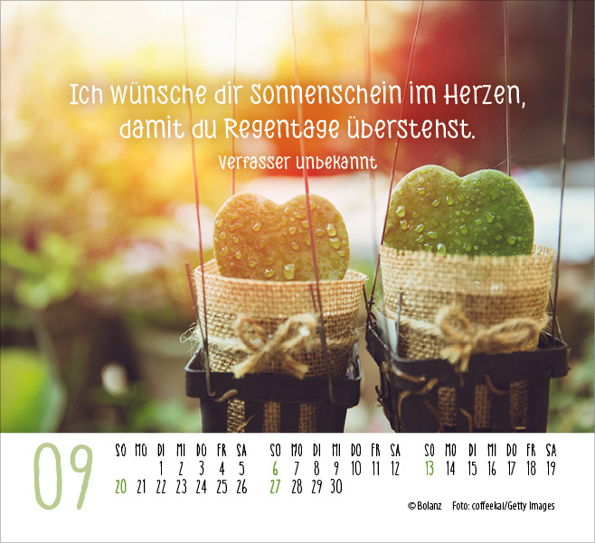 Danke 2026 - Minikalender