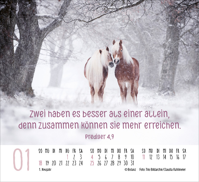 Begegnungen - Dich vergess ich nie 2026 - Minikalender