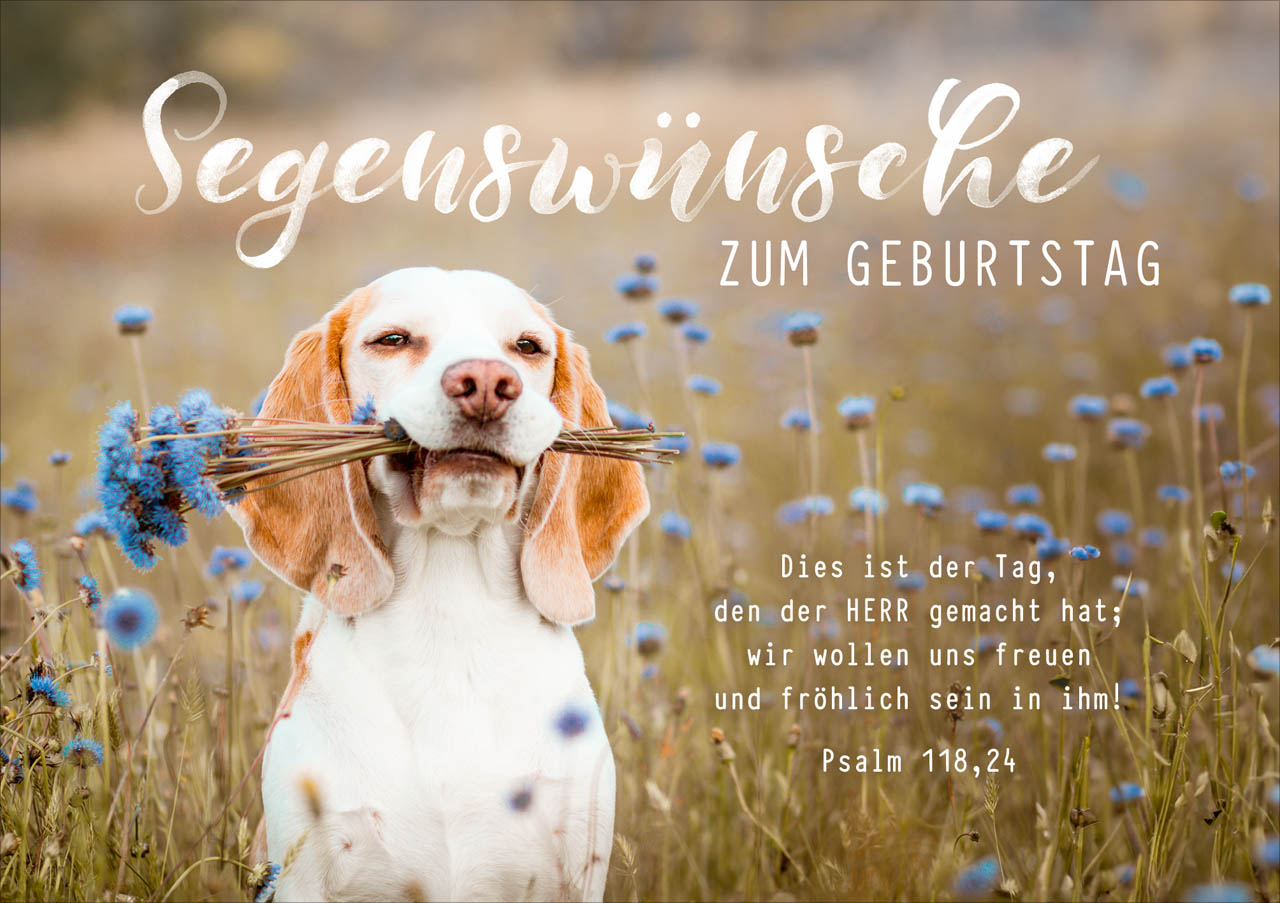 Faltkarte süßer Hund -  Anlass: Geburtstag (17 x 12 cm)