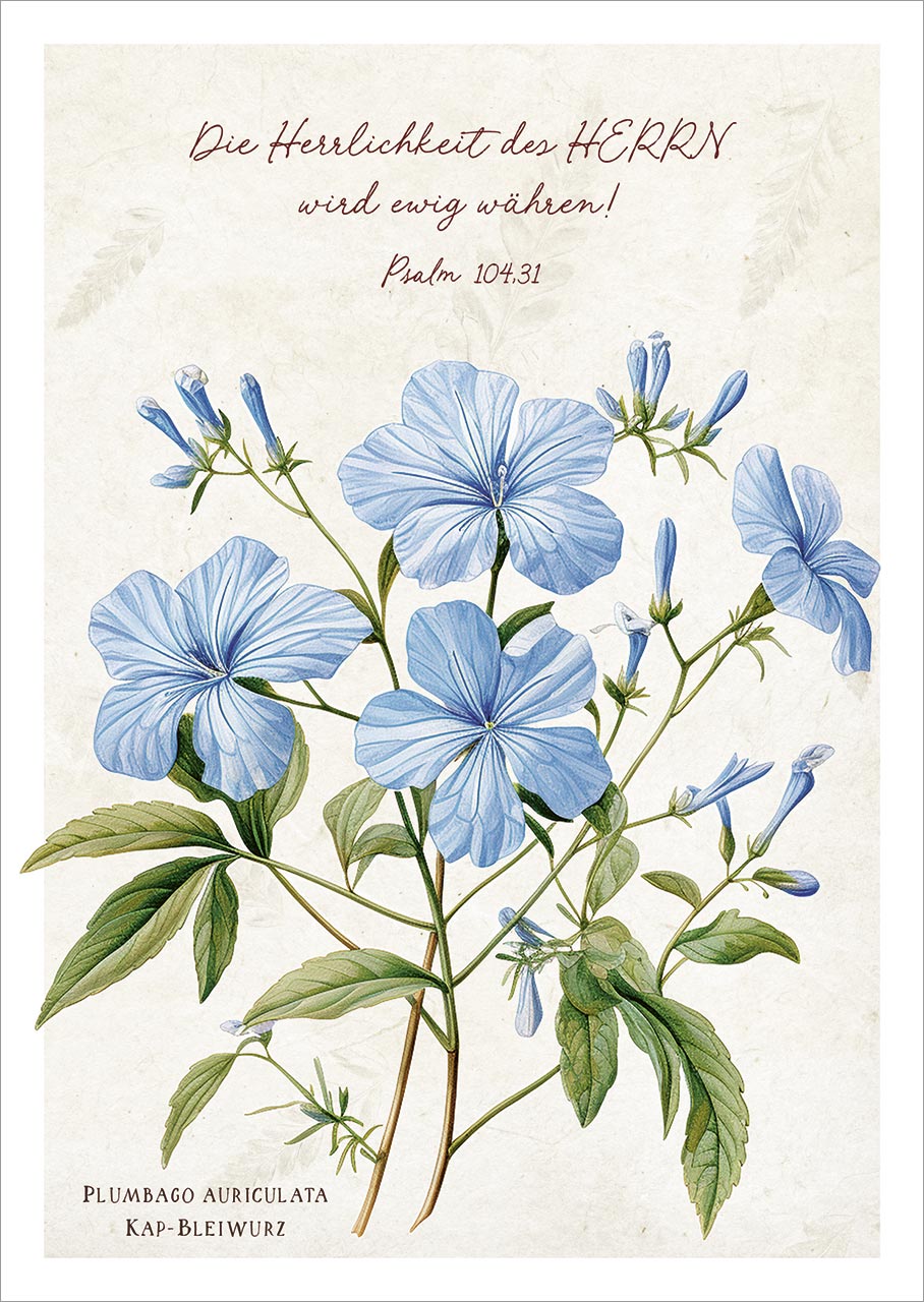 Postkarte Die Herrlichkeit des Herrn - Blume -  (10,5 x 14,8 cm)